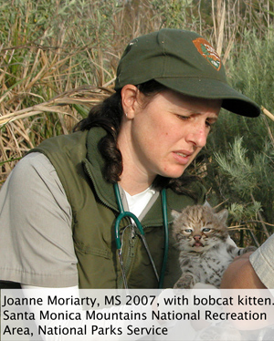 Photo of Joanne Moriarty, MS 2007, with bobcat kitten. Santa Monica Mountains National Recreation Area, National Parks Service.