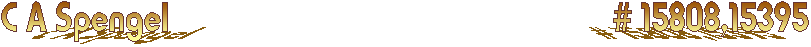 C A Spengel                                                 # 15808,15395 