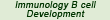 Immunology B cell Development
