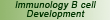 Immunology B cell Development