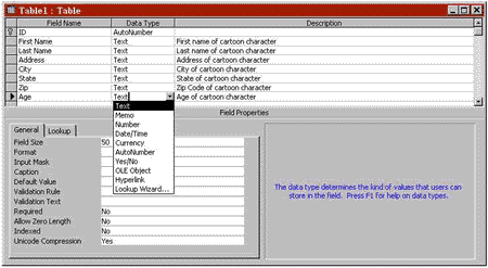 Design View window