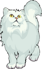 White Cat