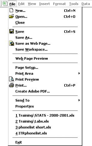 File Menu