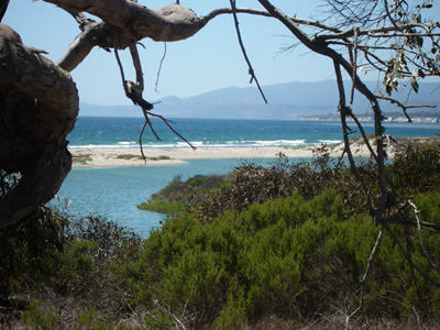 Home Page Image