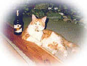 BeerMax