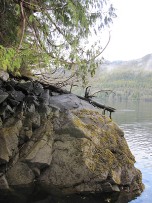 Ketchikan coast