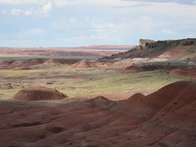 pained desert