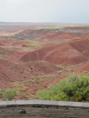 pained desert