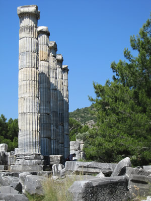 temple columns