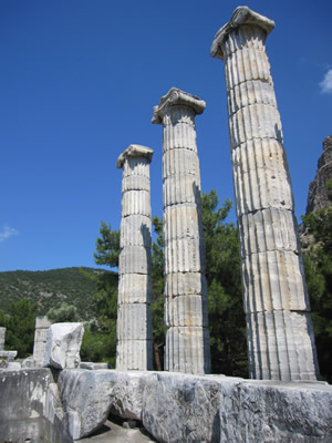 temple of athene columns