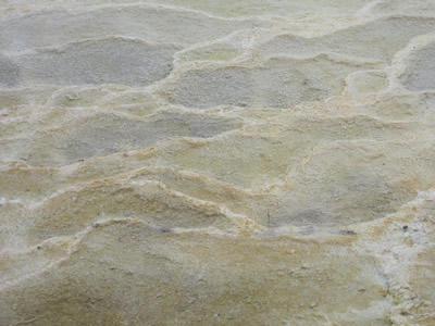 dry pool