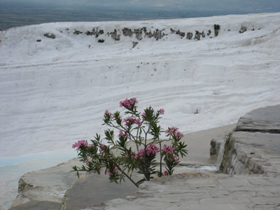 dry pool