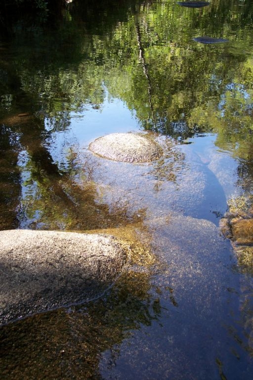 washington stream