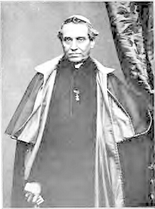 Cardinal  Antonelkli