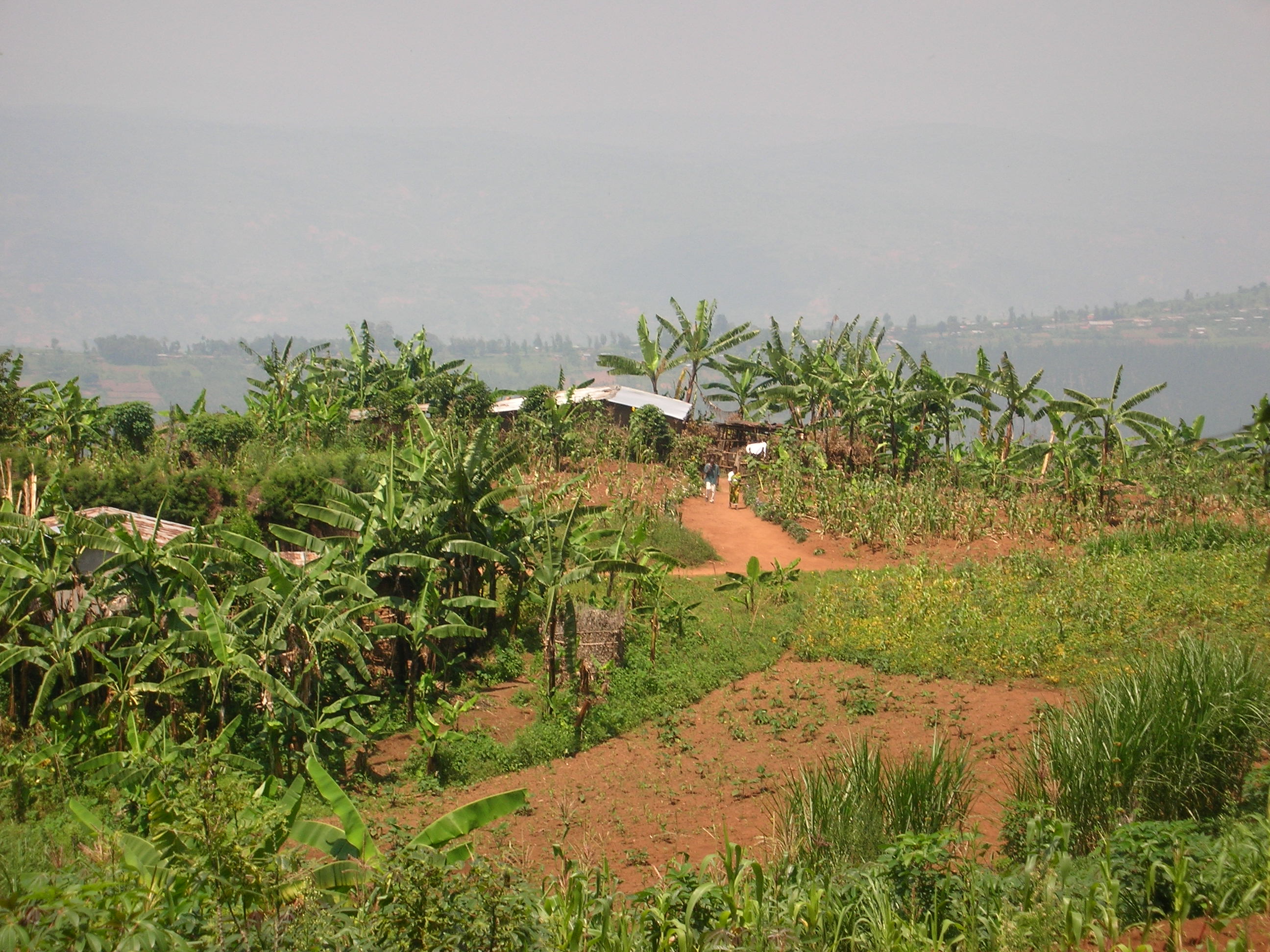 Country side in Rwanda
