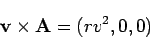 \begin{displaymath}
{\bf v}\times {\bf A}= (rv^2, 0, 0)
\end{displaymath}
