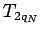 $T_{2q_N}$