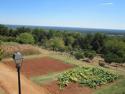 garden at monticello