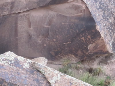 petrified forest