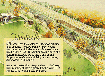 monticello plan