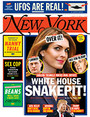 Subscribe to New York Magazine