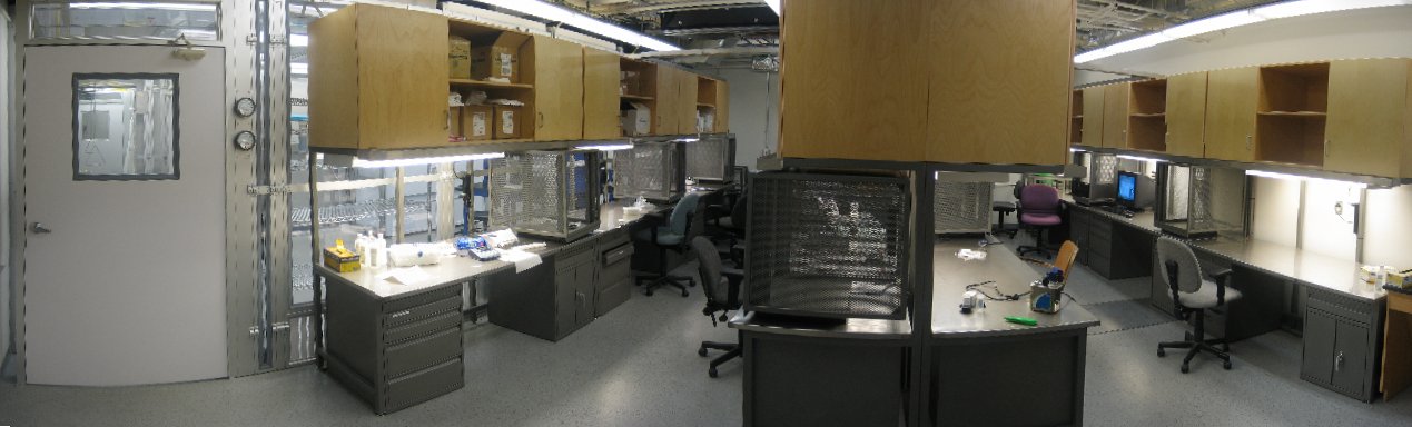 The main laboratory, Eucalyptus hall 2023