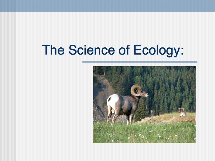 Link to Quicktime Movie of Lecture of the Science of Ecology