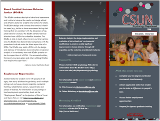 BCaBA brochure