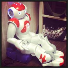 NAO the humanoid robot