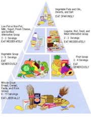 food pyramid