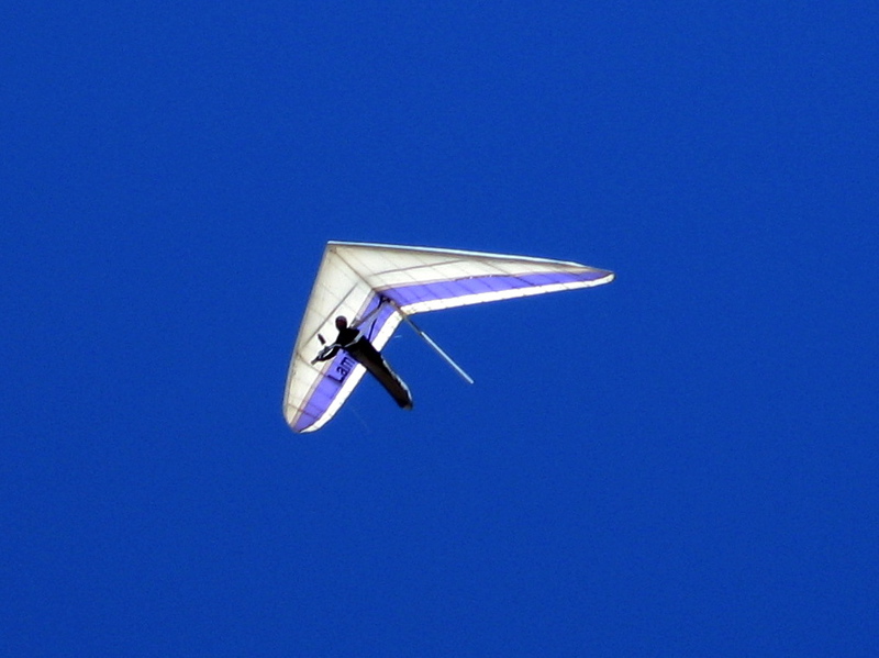 hang glider