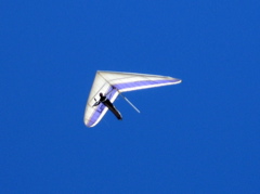 hang glider