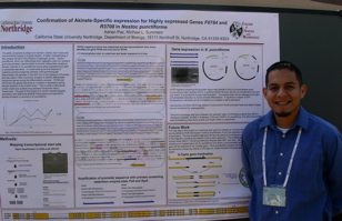 Adrian's poster