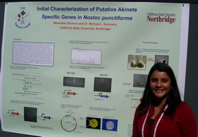 Marisabel's poster