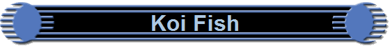 Koi Fish