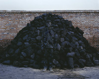 Hiding in the City No. 95- Coal Pile