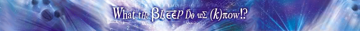 what the bleep do er know? banner