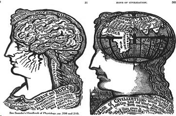 jpeg image, sketches of the human brain