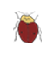 red yellow lady bug