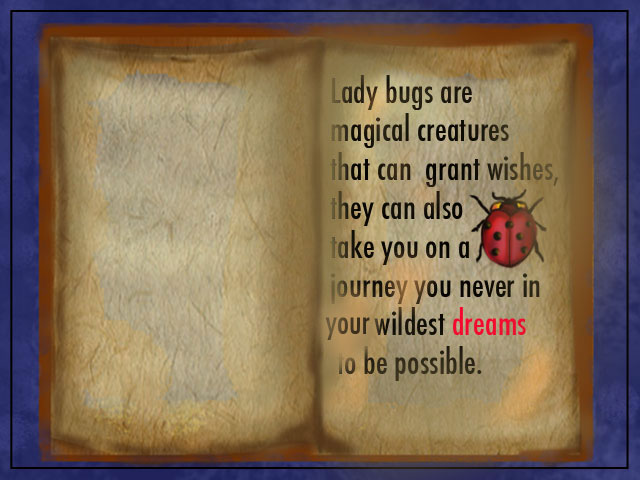 Ladybug book