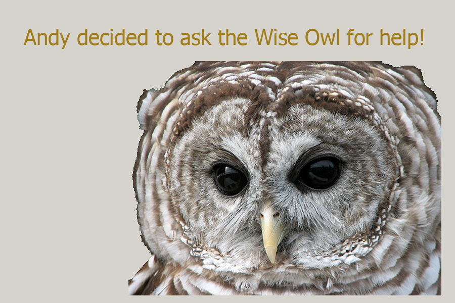 the Wise Owl