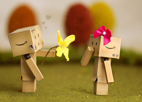 danbo meets girl
