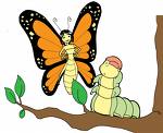 butterfly talking to caterpillar