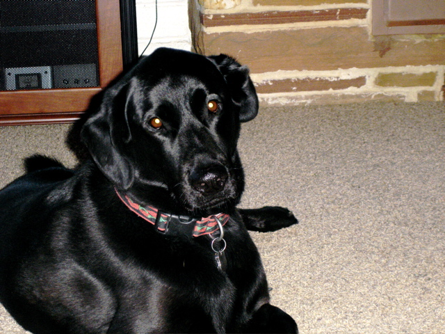 Jack Dec 2005
