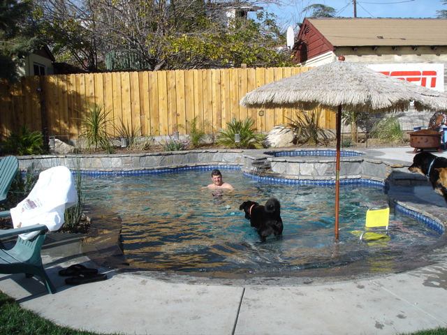 Enjoying the new pool