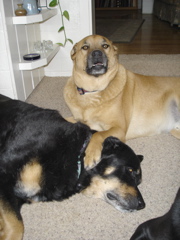 Cabo & 'Skari Dec 2005