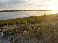 DSCN0169
