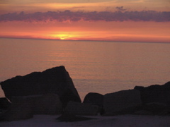 DSCN0227