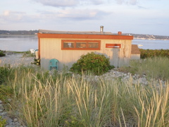 DSCN0229