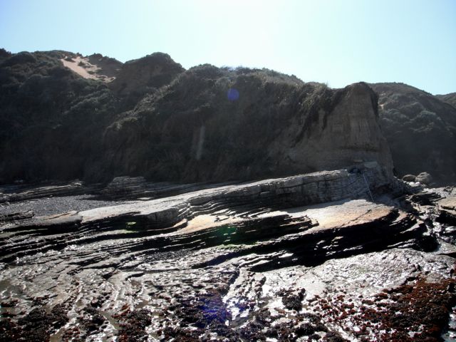 DSCF1086